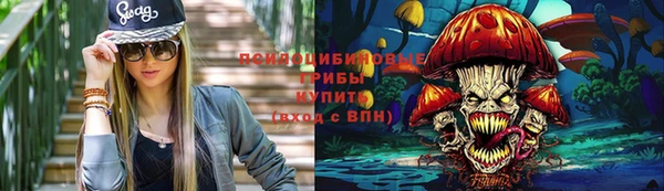 ECSTASY Няндома