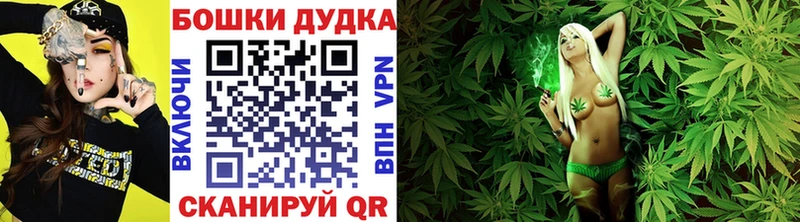 купить наркотики сайты  Долгопрудный  Бошки Шишки OG Kush 